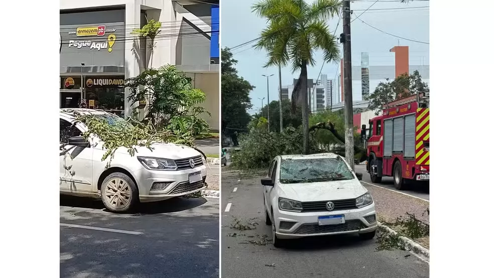 Chuvas e fortes ventos derrubam árvores, atingem estrutura de festa e causam transtornos na Paraíba