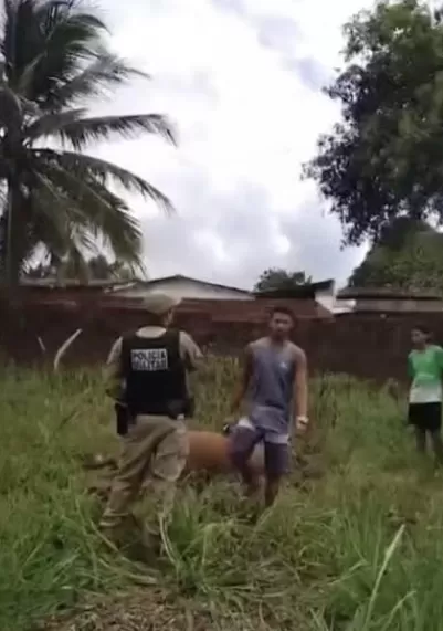 Foto: Reprodução