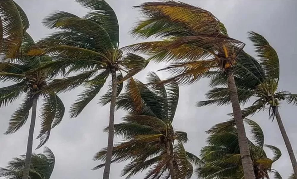Inmet emite alerta de vendaval para 200 municípios da Paraíba neste domingo