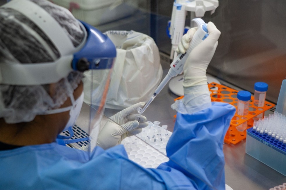 Reprodução: Internet.