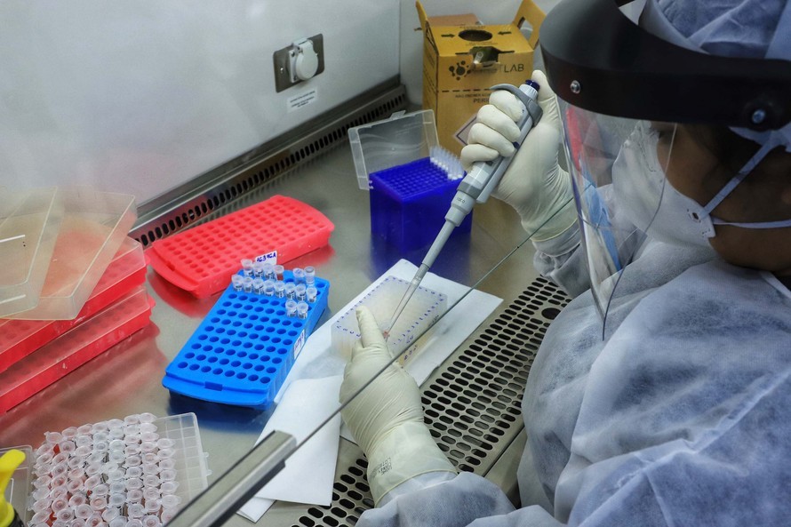 Sequenciamento genômico para identificação da variante delta do novo coronavírus. Reprodução: Internet.