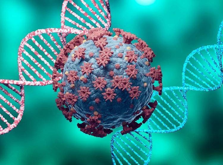 Demonstração gráfica da Variante Delta do novo coronavírus. Reprodução: Internet.