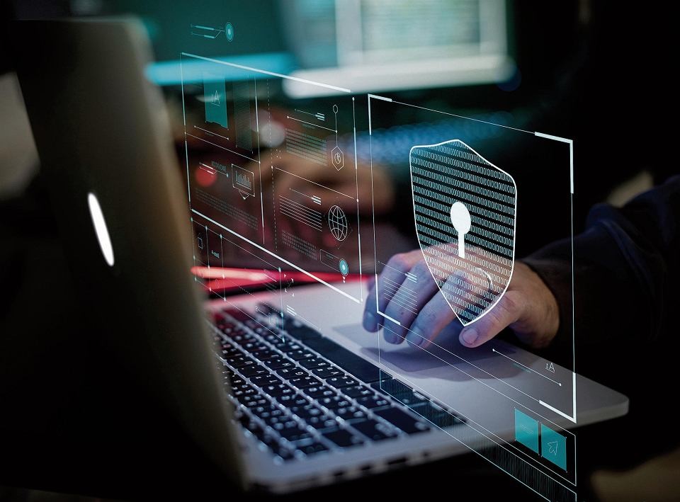 Reprodução: Internet.