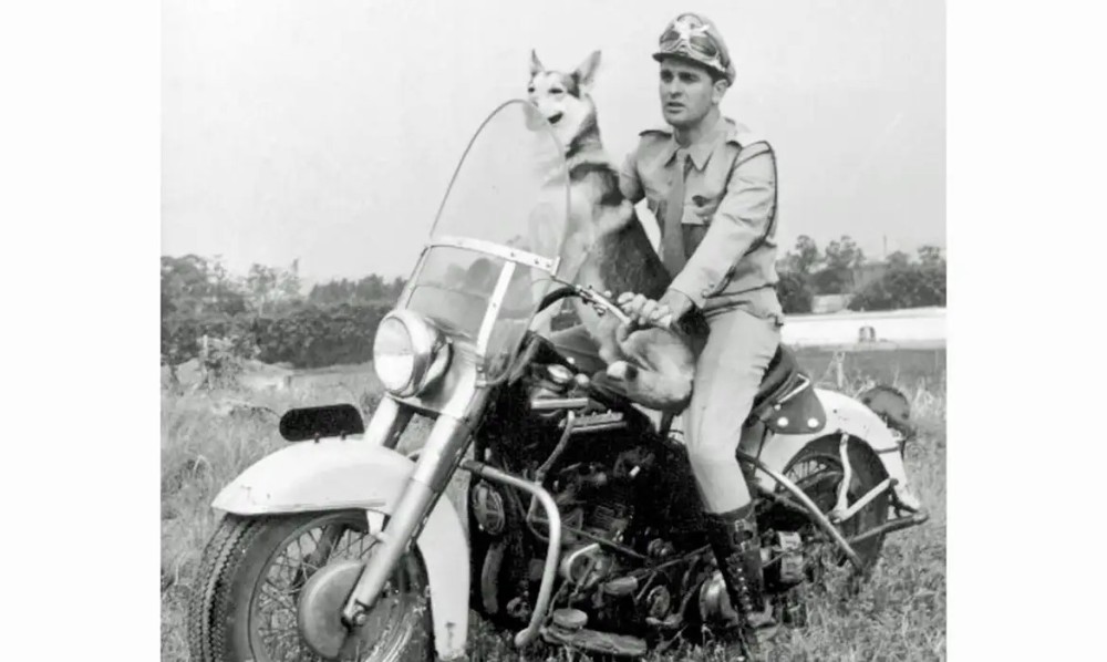 Foto: PM de São Paulo/Divulgação