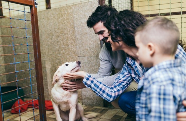 Young and happy family adopting a dog in dog's shelter