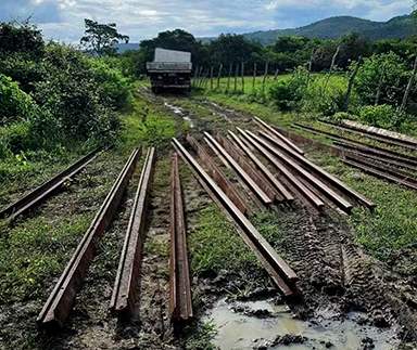 Foto: Polícia Militar