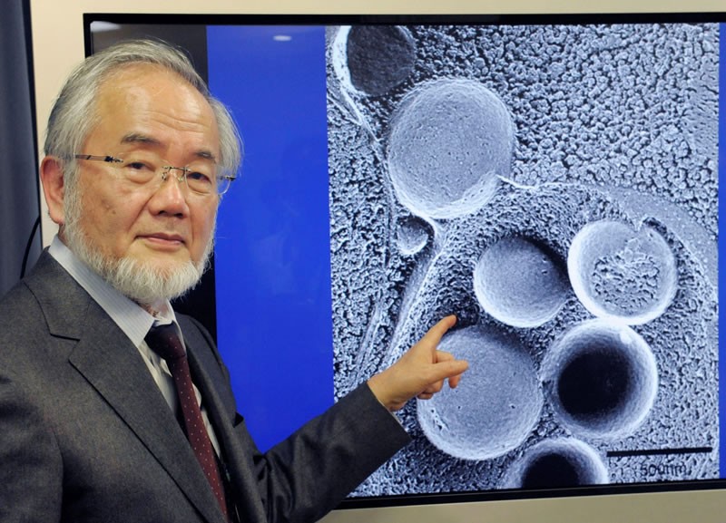 O cientista japonês Yoshinori Ohsumi Prêmio Nobel de Medicina em 2016
