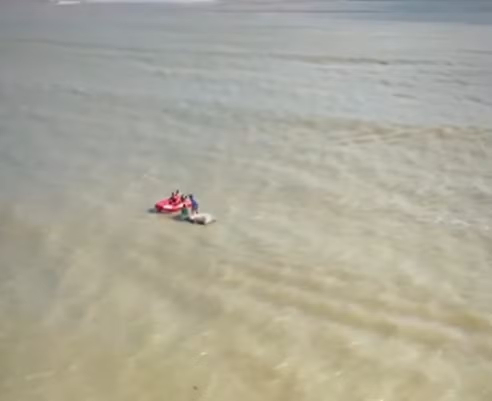 Foto: Divulgação/Corpo de Bombeiros