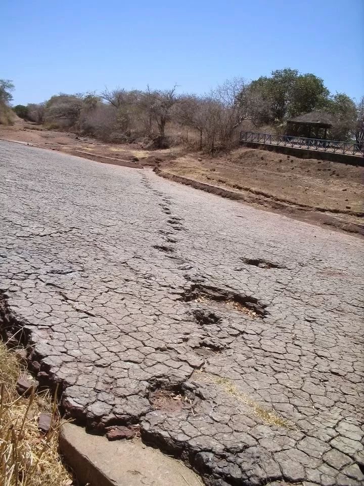 Visitação ao Vale dos Dinossauros em Sousa, é retomada após incêndio
