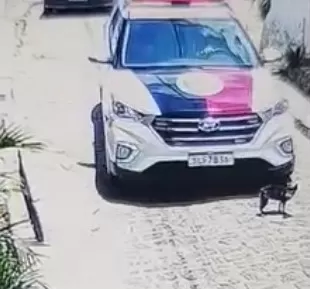 Cadela morre atropelada por viatura da Polícia Militar em João Pessoa