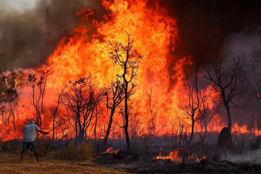 Incêndio atinge Parque Nacional da Serra do Teixeira, no Sertão da Paraíba