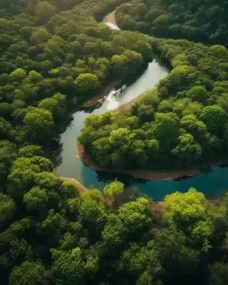 Pequenos negócios ganham voz na COP30 com parceria do Sebrae por ações climáticas globais