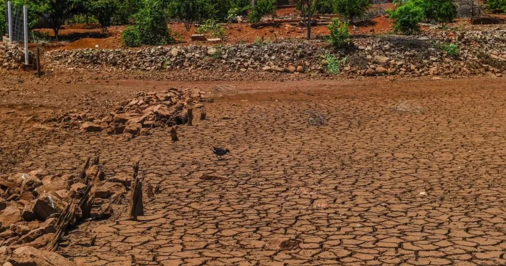 Defesa Civil inclui treze cidades da Paraíba em situação de emergência e estado já soma 110 municípios atingidos pela estiagem
