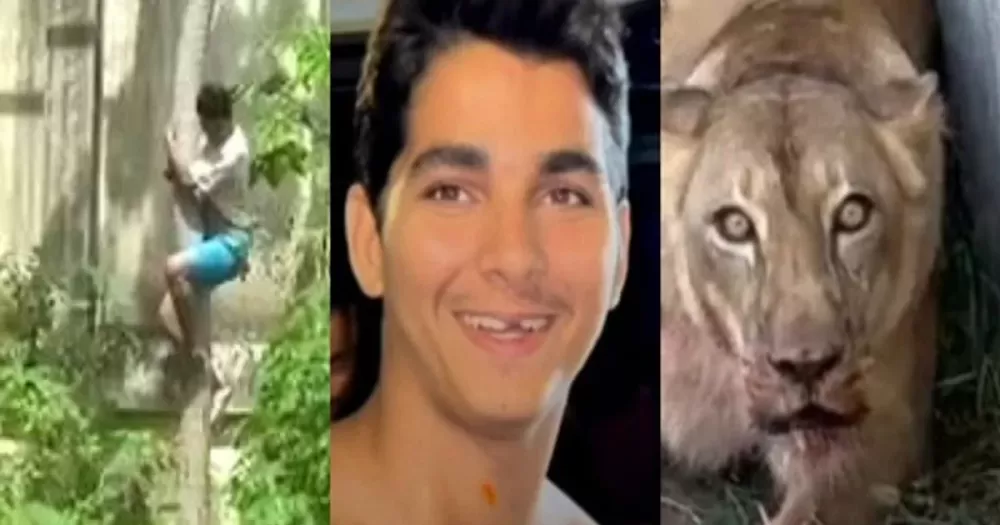 Quem era ‘Vaqueirinho’: jovem morto após invadir jaula de leoa em João Pessoa